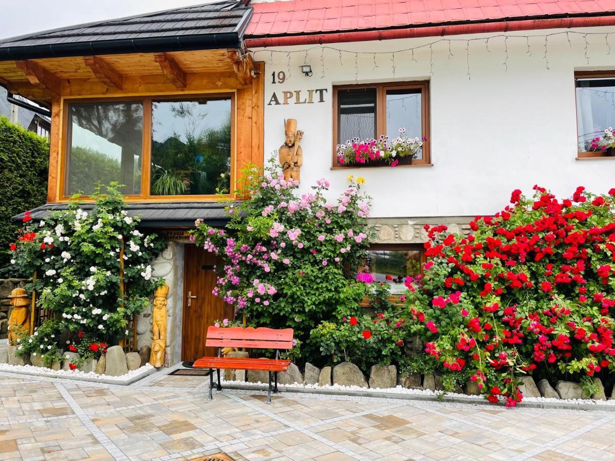 Aplit Guest House Zakopane Exterior foto